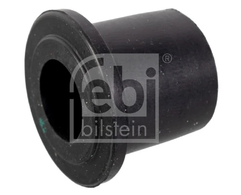 Bushing, leaf spring